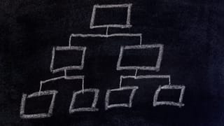 Organisational Design and Charts in TVET: Optimising Delivery for Effective Vocational Training