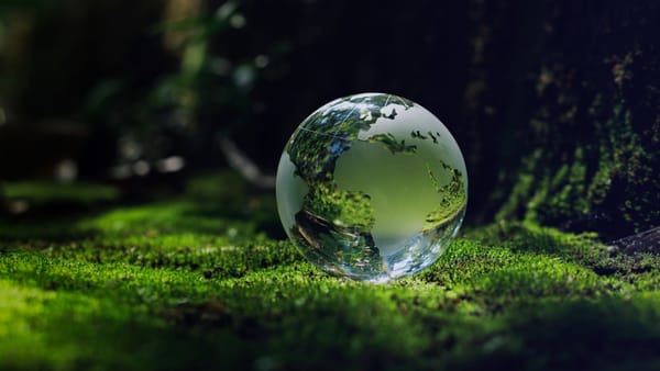 CSR Implementation and Advanced Practices