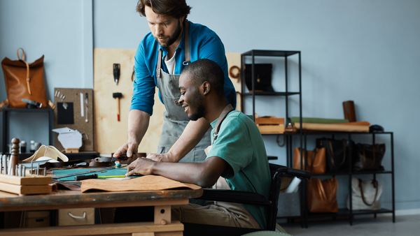 Supporting Apprentices through Mentoring and Guidance